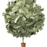 money tree1